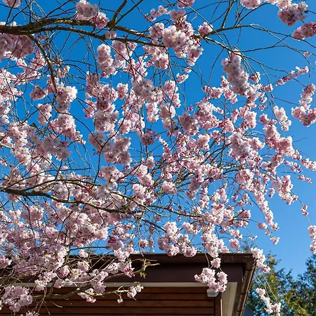 K2 - Strandhaus Koenigsberger Allee 8 - Feriendomizil Hollich * 그로미츠